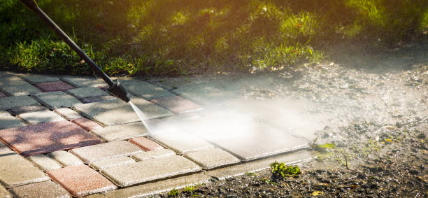 Animal Enclosure Cleaning in Greenlawn, NY